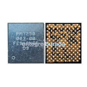 PM7250 003